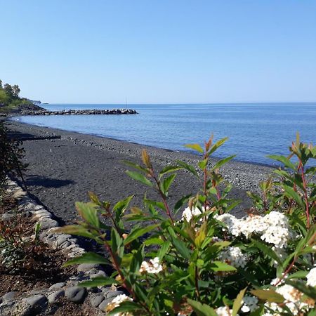 Pasa Tatil Koeyue Akcaabat Zewnętrze zdjęcie